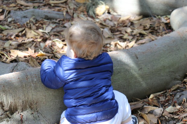 Hiking Baby staying cozy in a REI Co-op Reversible 650 Down Jacket