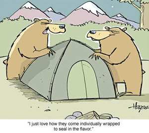 Bear Joke