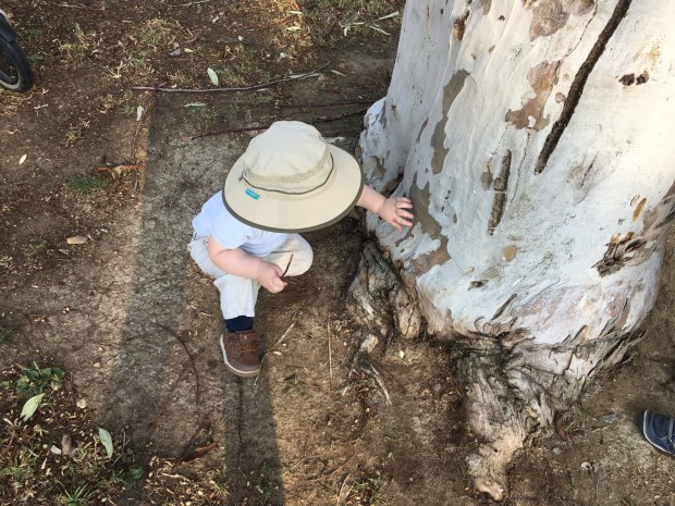 Hiking Baby loving a local tree