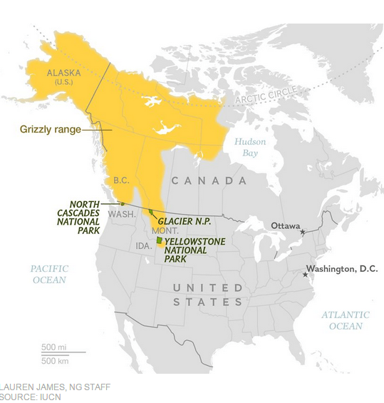 Grizzly territory, National Geographic