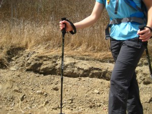 Hiking Lady Using Trekking Poles