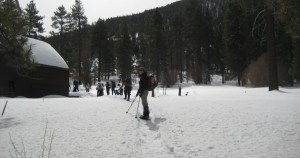 Snowshoeing in the San Gorgonio Wilderness, Southern CA