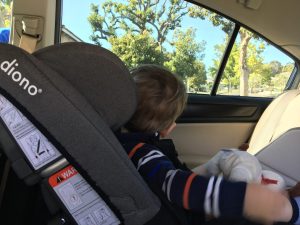 Hiking Baby enjoying the view from the Diono Radian car seat