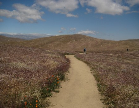 Antelope Valley California Poppy Reserve: Need Sun Protection Here!