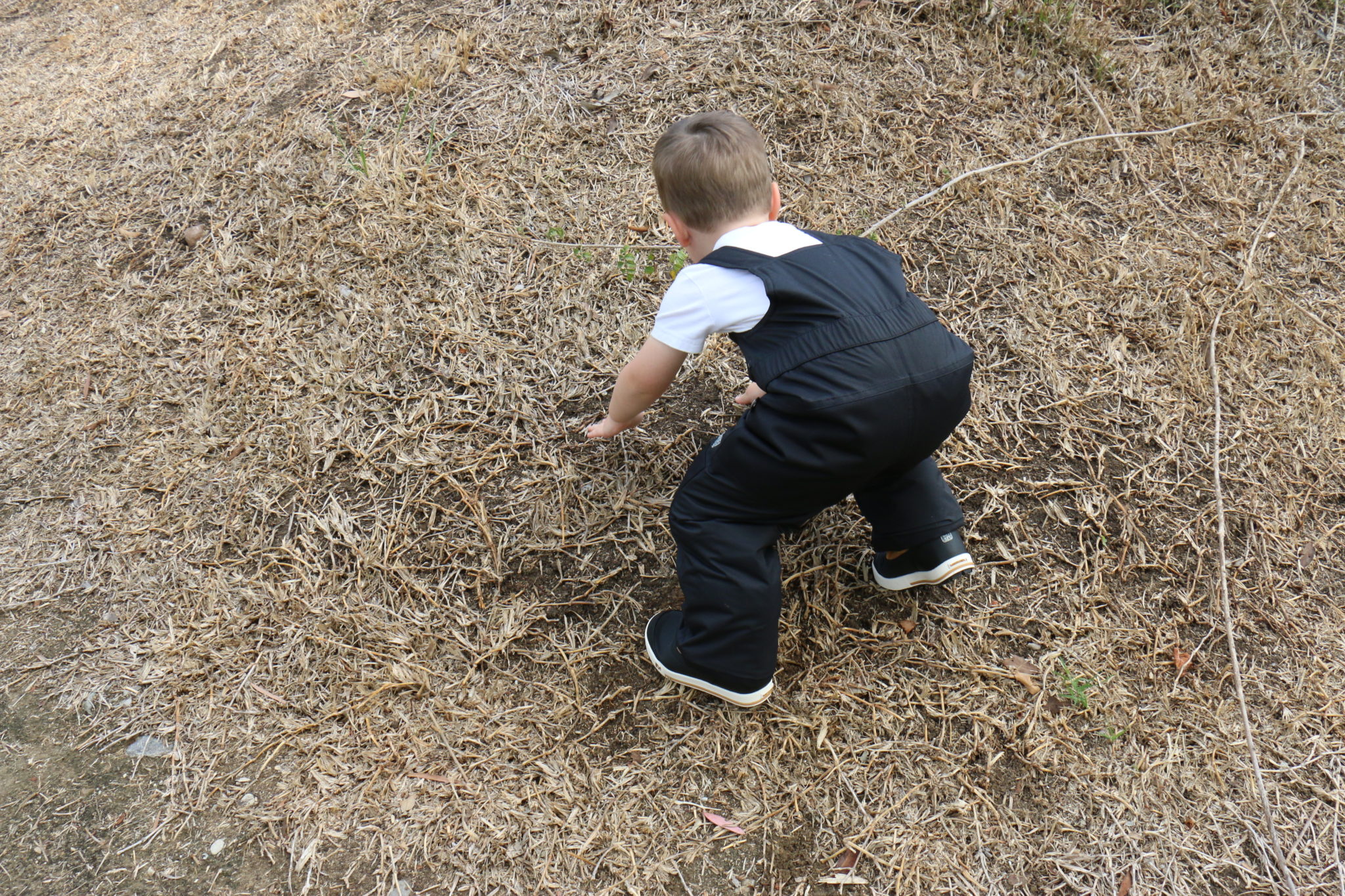 Hiking Toddler staying comfy in his durable REI Co-op Timber Mountain Overalls.