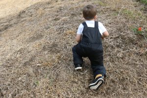 Toddler hiking gear