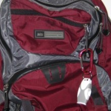 Fox40 Sharx Whistle on my Daypack