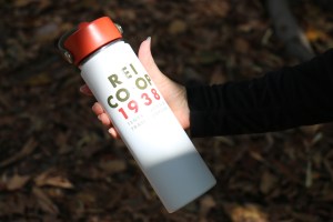 A perfect gift: an insulated 18/8 stainless steel water bottle