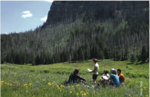 Have you taken a wilderness first aid class?