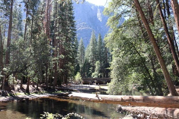 Peacefulness of Yosemite Valley