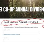 REI Dividend