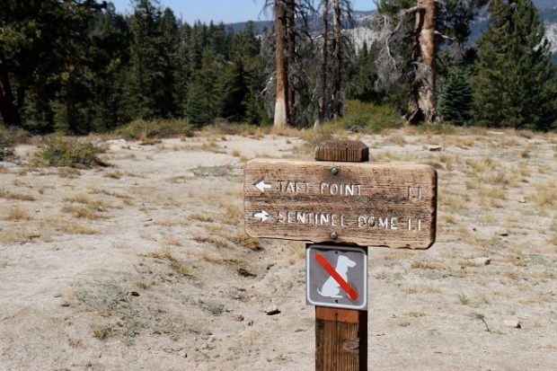 Taft Point Trail