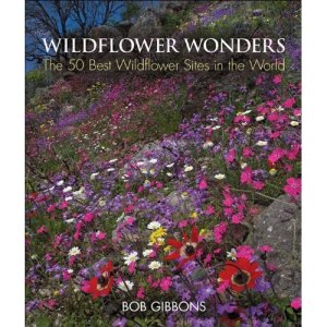 Wildflower Wonders